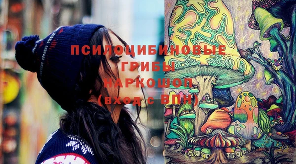 эйфоретик Белокуриха