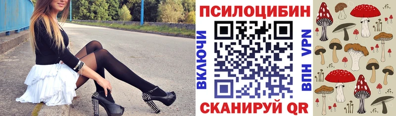 где продают наркотики  Высоковск  Галлюциногенные грибы мухоморы 